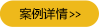 案例詳情